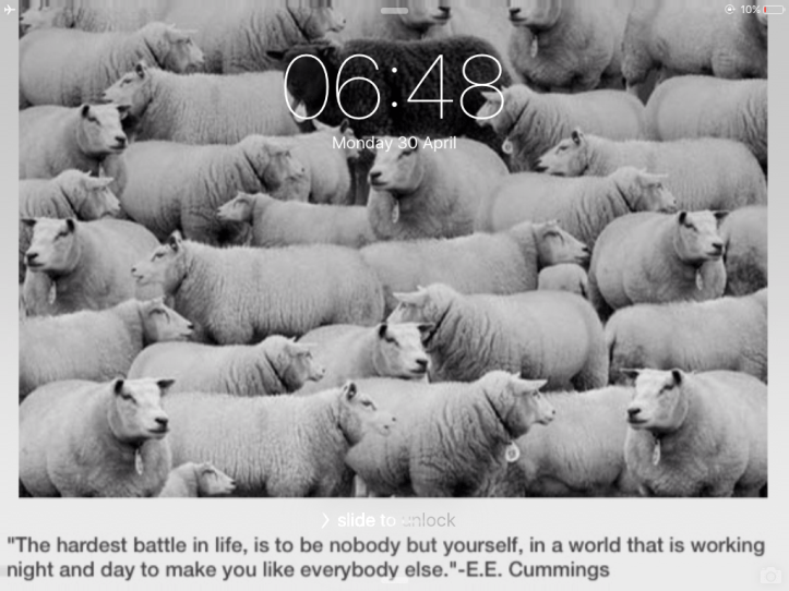 IMG_0491_Love Island June