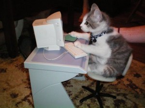 cat at a computer